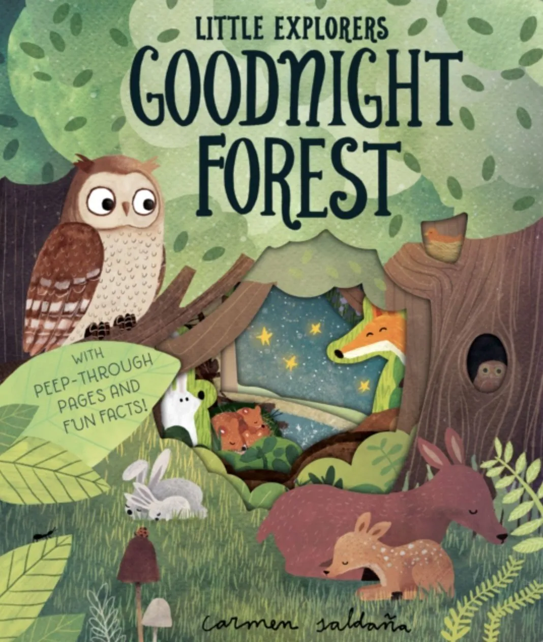 Goodnight Forest Novelty Book