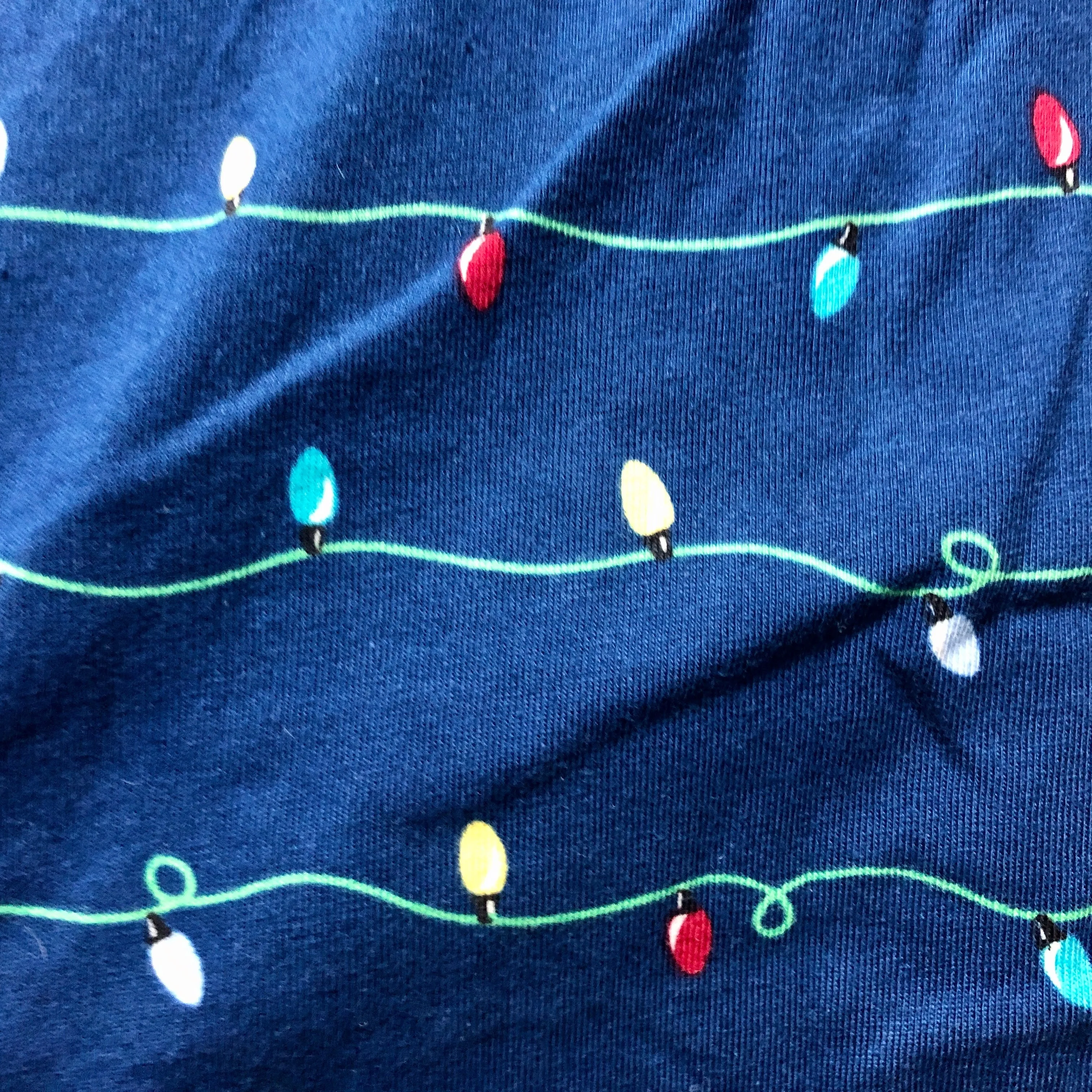 Holiday Family PJs Blue and Grey Holiday Lights 2 Piece Set - Size Large