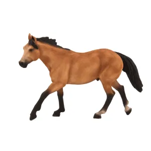 Quarter Horse Buckskin